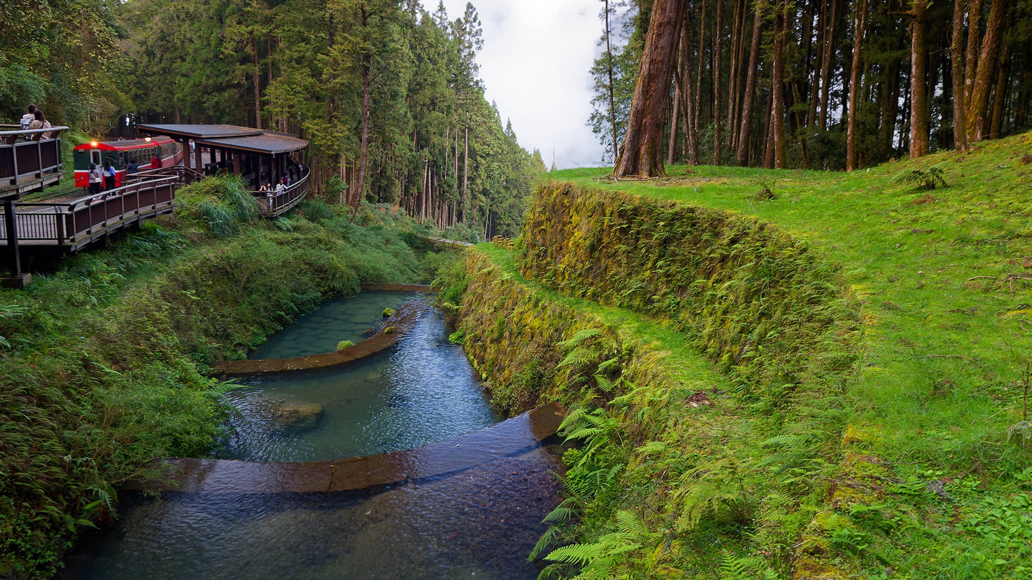 05 - Alishan (52).jpg